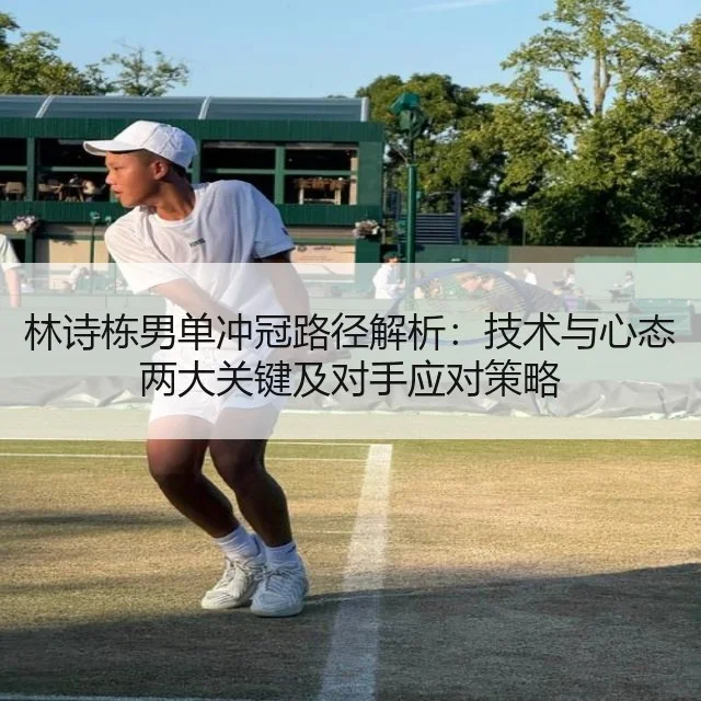 林诗栋男单冲冠路径解析：技术与心态两大关键及对手应对策略（WorldCupChina）